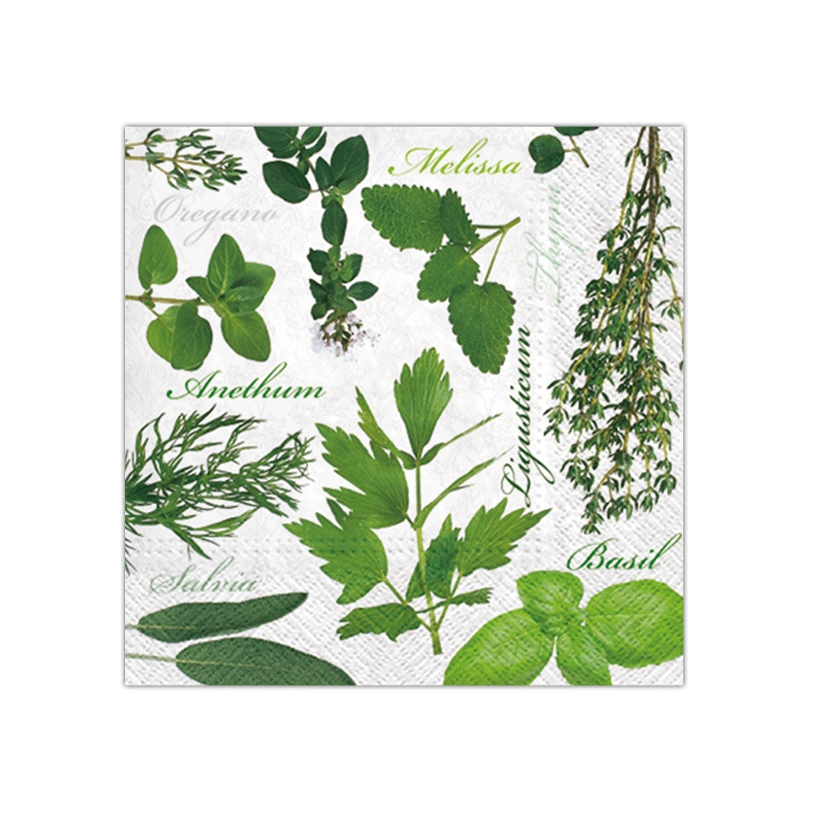 Herbal Taste Paper Napkins | PAW SDL650000