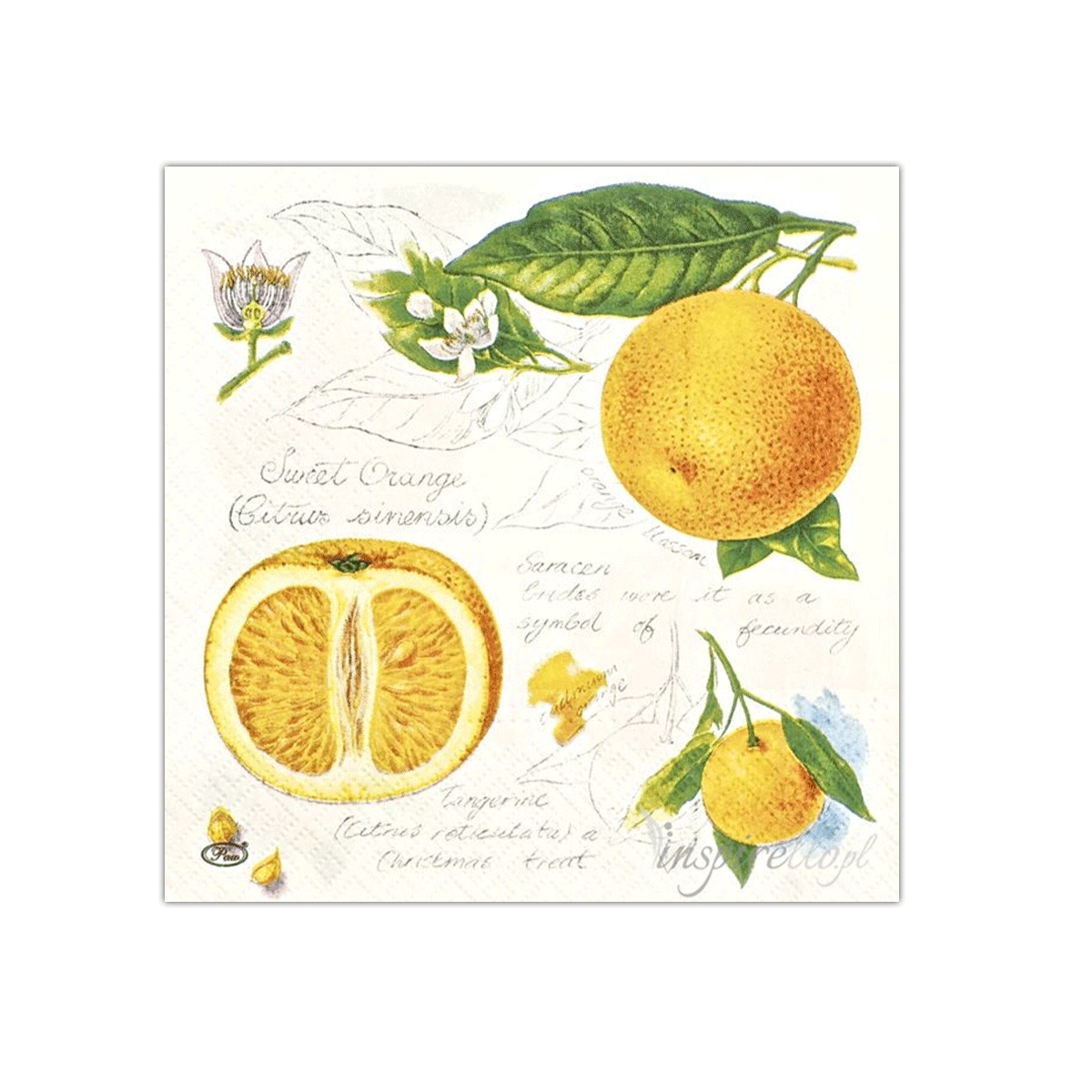 Orange Half Paper Napkins | PAW SDL993000