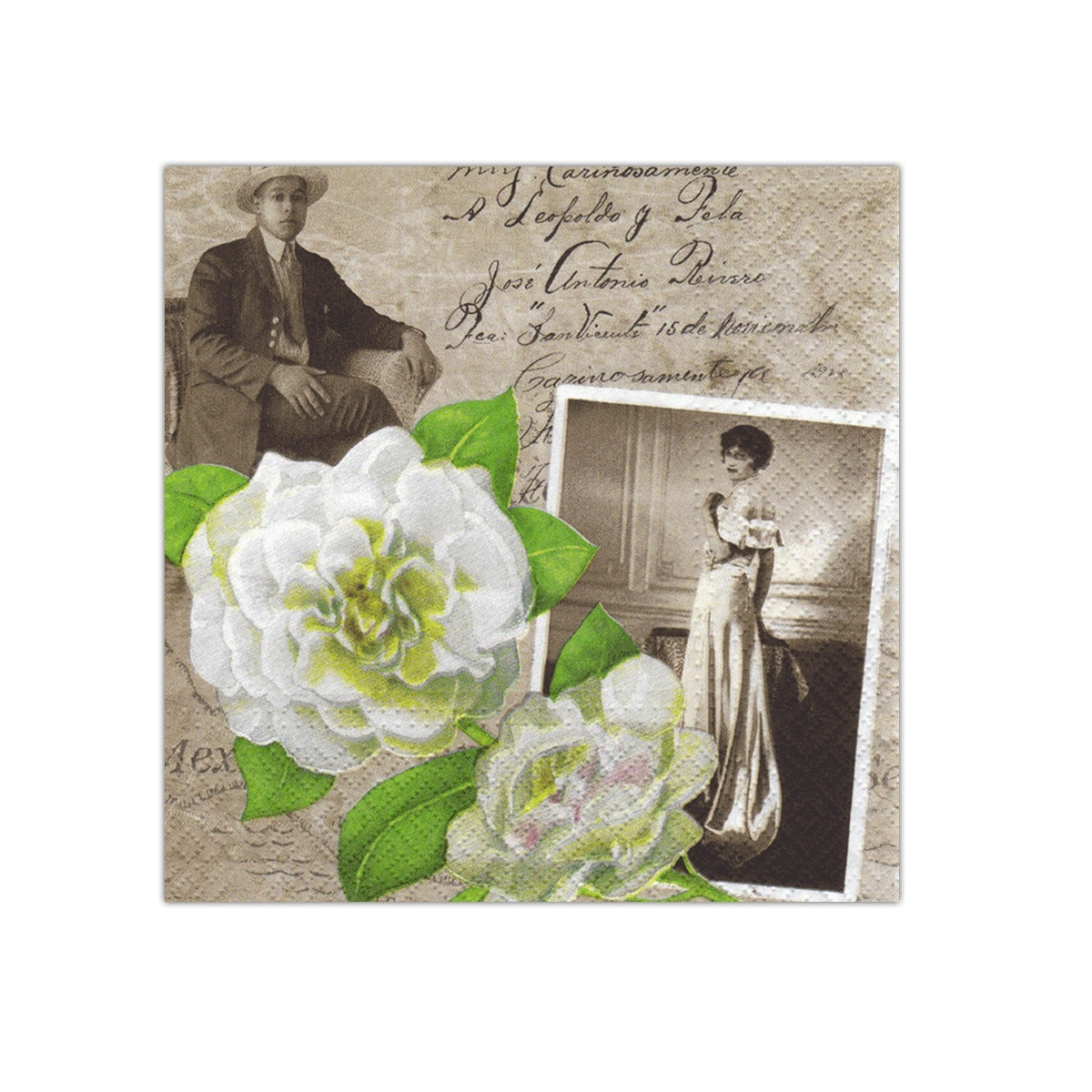 Mr. & Mrs. Martinez Paper Napkins | PAW SDL330000