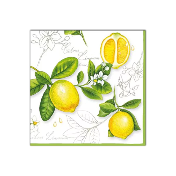 Citrus Limonum Paper Napkins | Ambiente L13306290