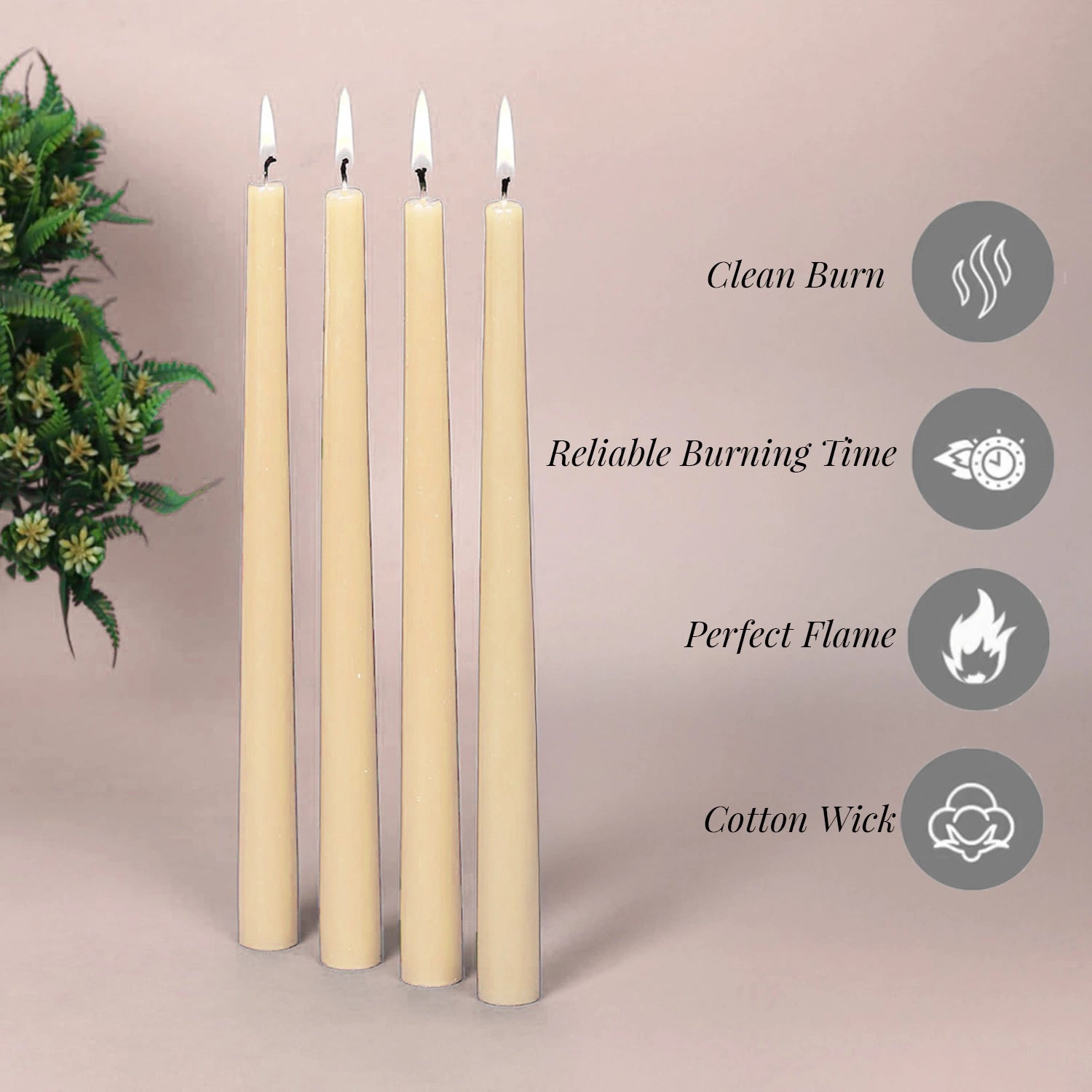 10" Premium Taper Candles (Set of 12) | Ivory