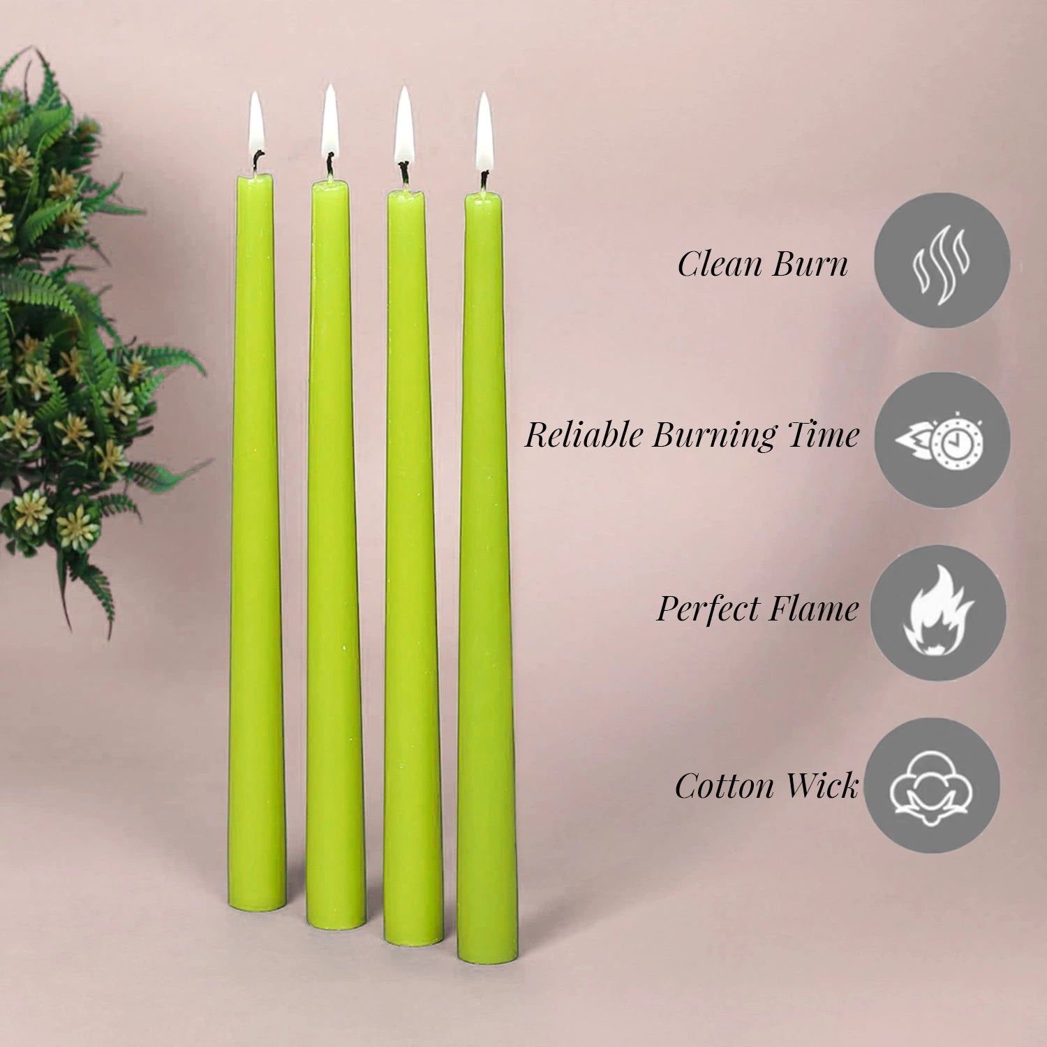 10" Premium Taper Candles (Set of 12) | Sage