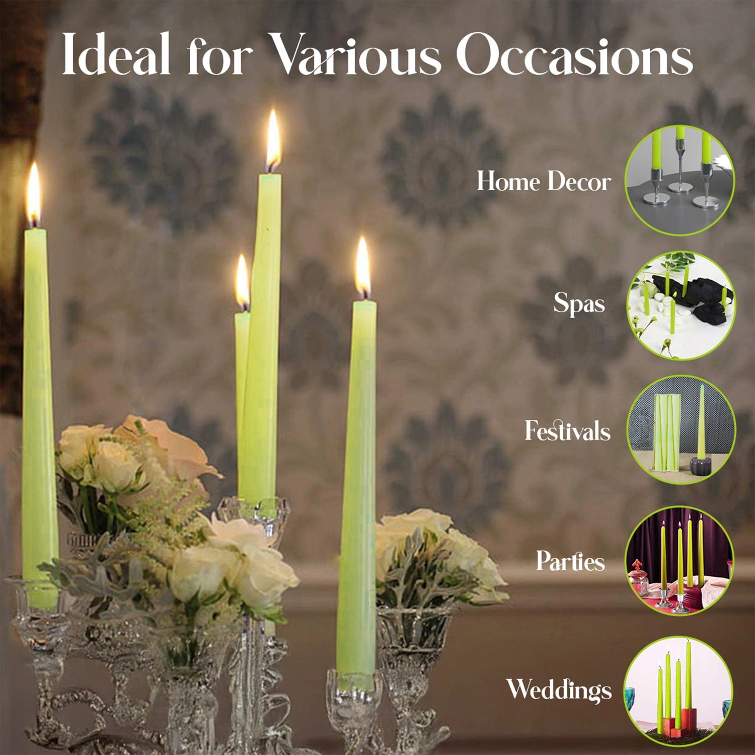 10" Premium Taper Candles (Set of 12) | Sage