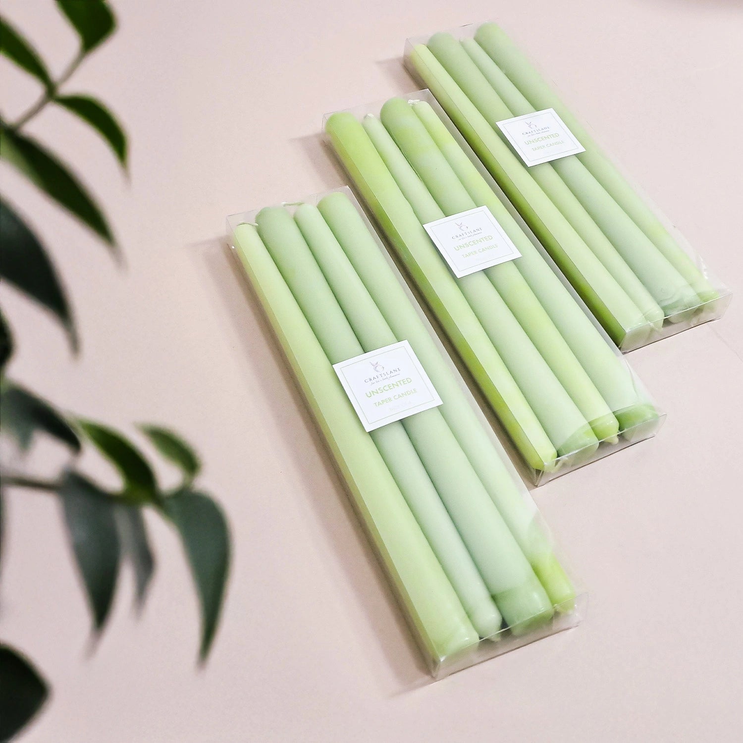10" Premium Taper Candles (Set of 12) | Sage
