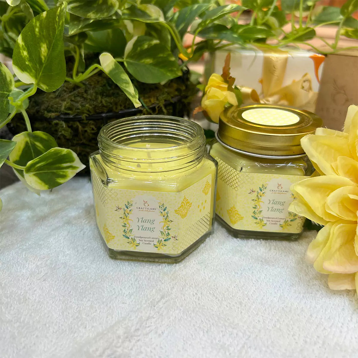 Ylang Ylang Soy Wax Scented Candles