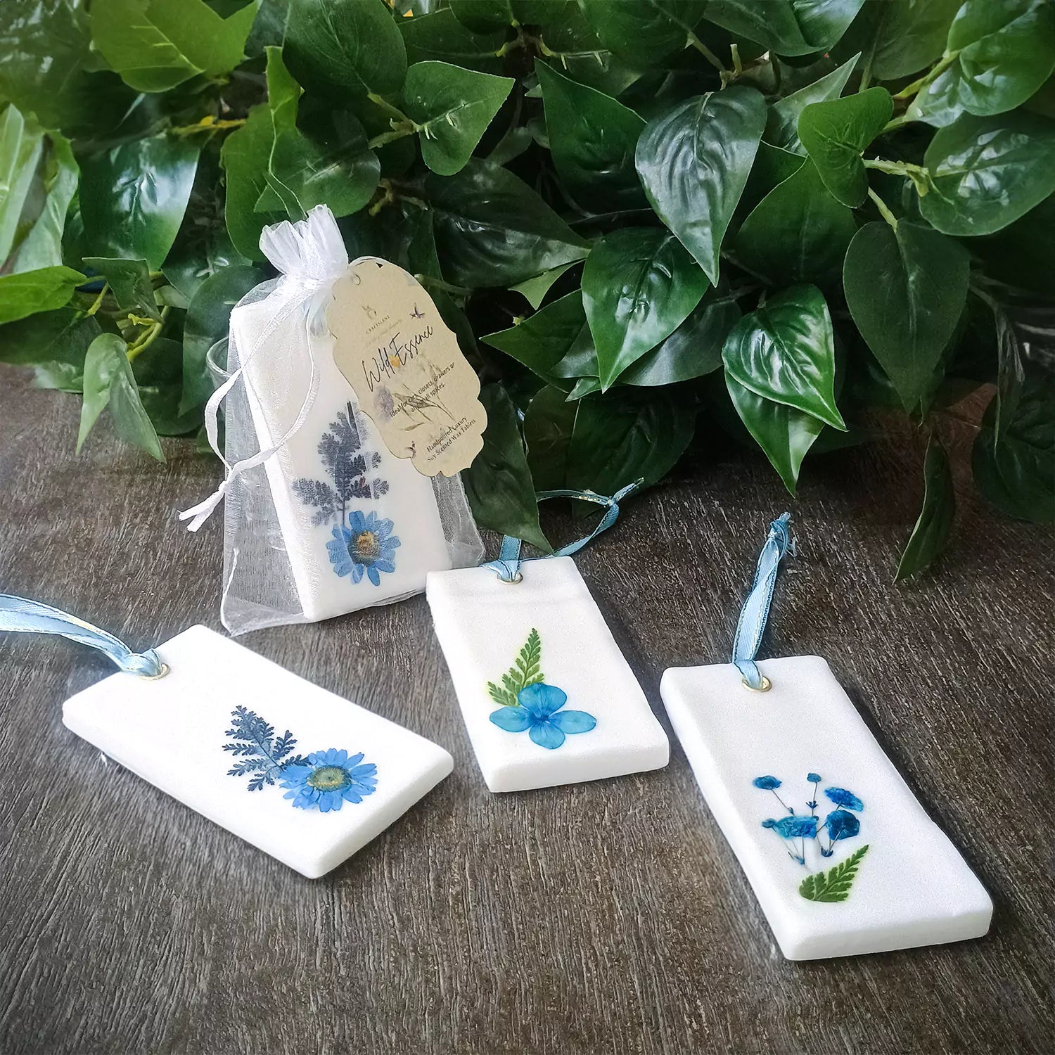 Wild Essence Scented Wax Tablets